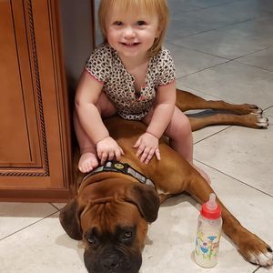 Meet your Posher, Robert